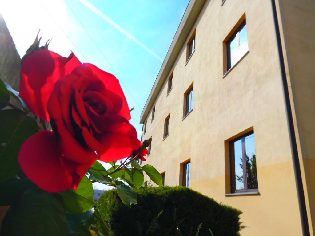 Hotel Majestic San Giuliano Milanese Exterior foto